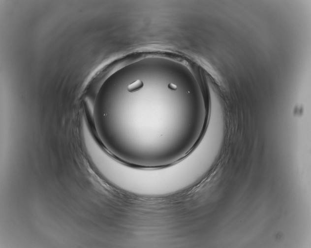 X0000091961356200709131218