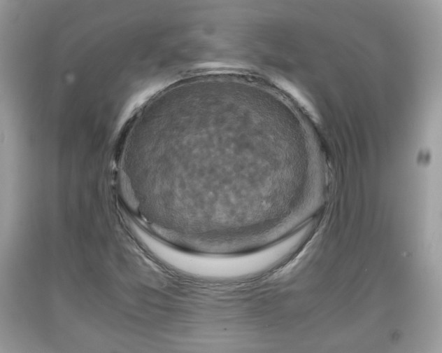 X0000091961357200709131217