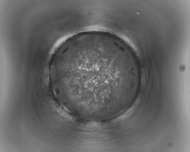 X0000091961358200709131217