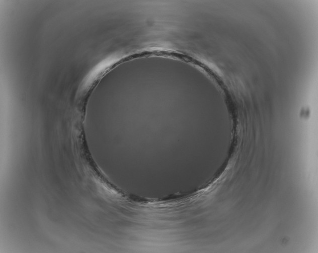 X0000091961359200709131217