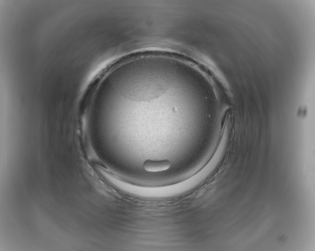 X0000091961360200709131217