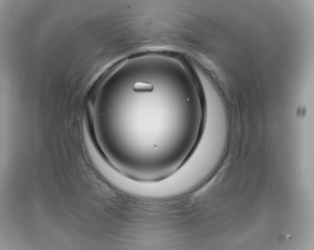 X0000091961361200709131217