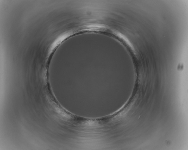 X0000091961362200709131217