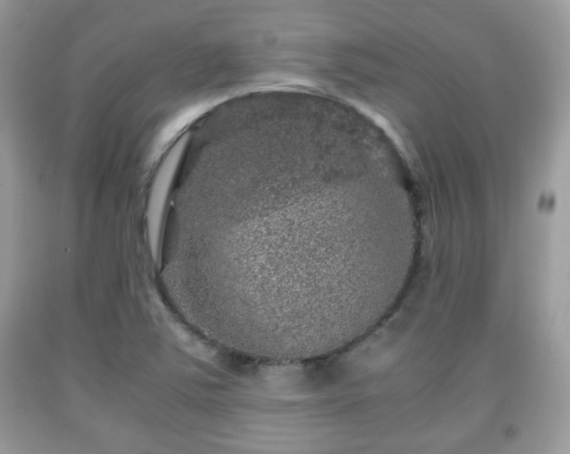 X0000091961363200709131217