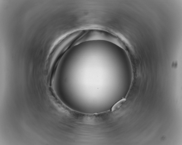 X0000091961364200709131217