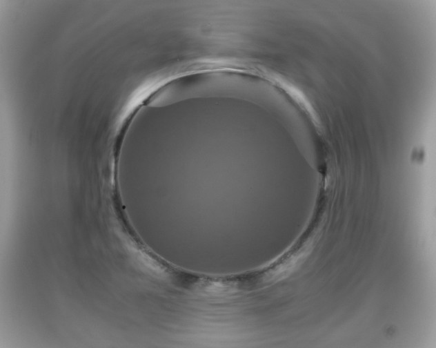 X0000091961365200709131217