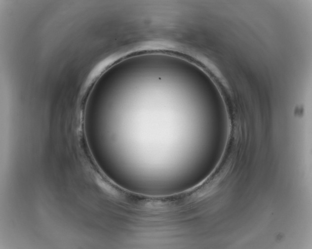 X0000091961366200709131217