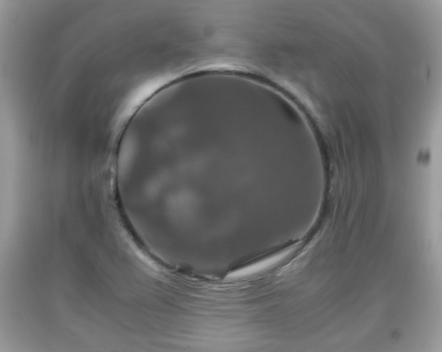 X0000091961367200709131217