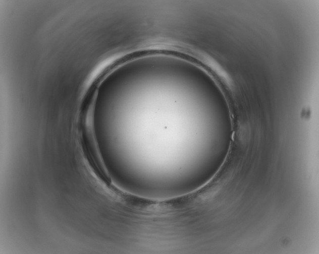 X0000091961368200709131217