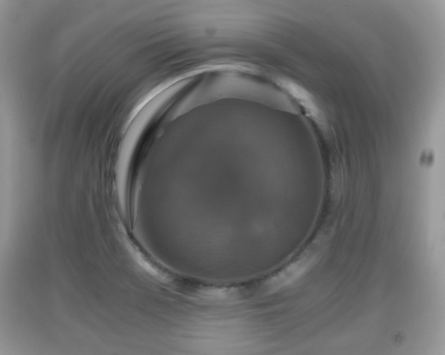 X0000091961369200709131217