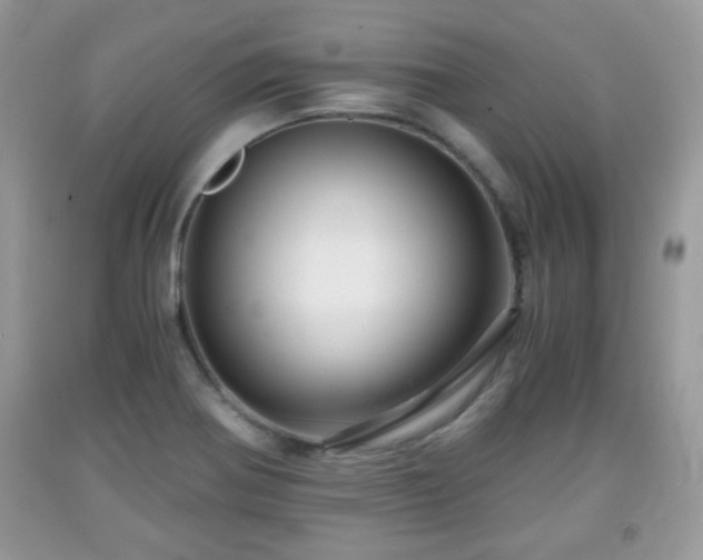 X0000091961370200709131217