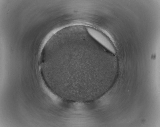 X0000091961371200709131217