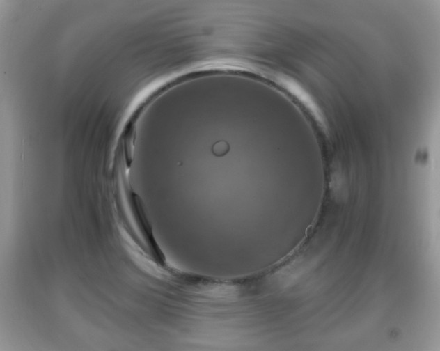 X0000091961372200709131217