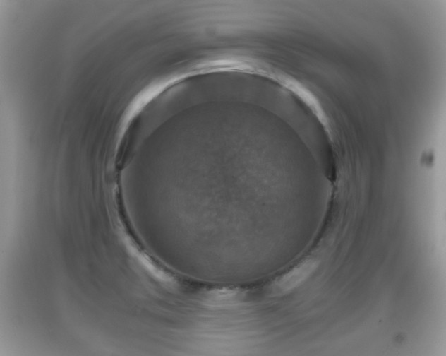 X0000091961373200709131217