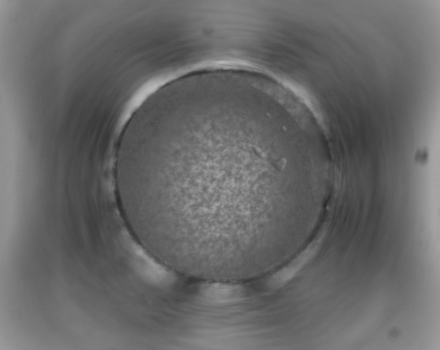 X0000091961374200709131217