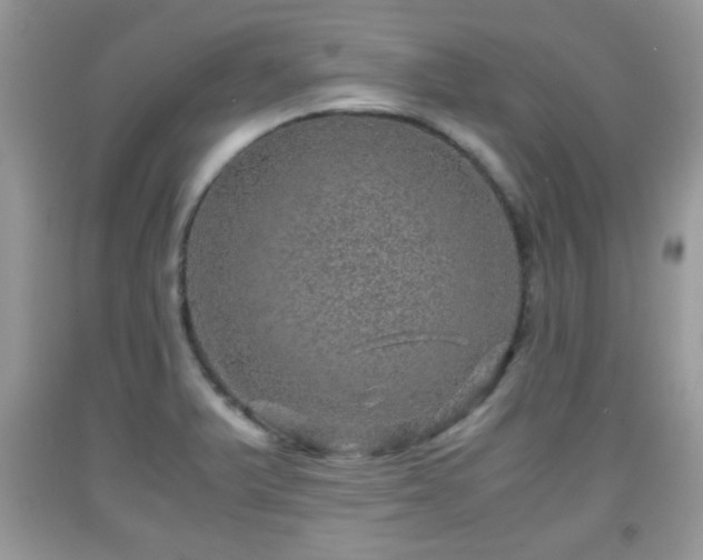 X0000091961375200709131217