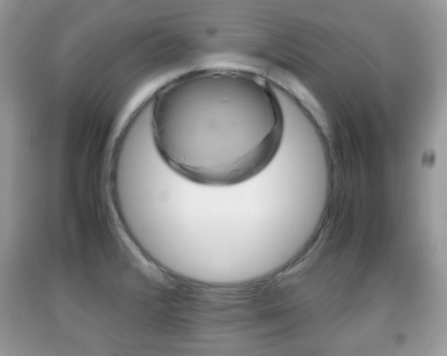 X0000091961376200709131217