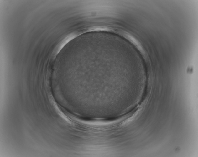 X0000091961377200709131217