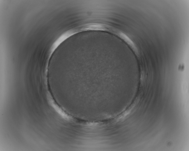 X0000091961378200709131217