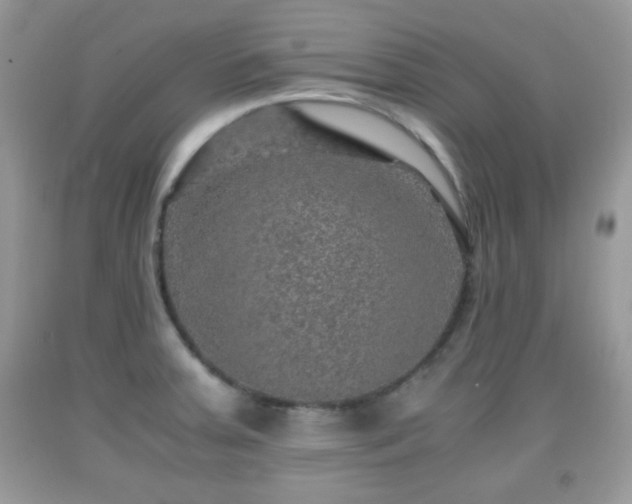 X0000091961379200709131217