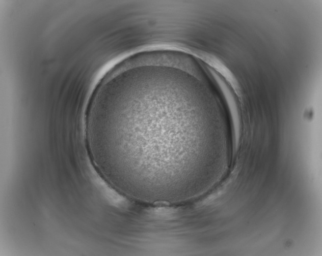 X0000091961380200709131217