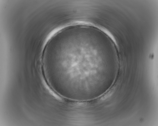 X0000091961381200709131217