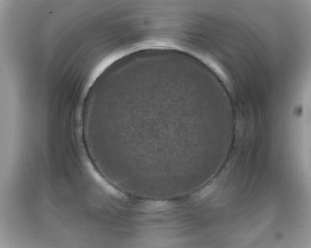 X0000091961382200709131217