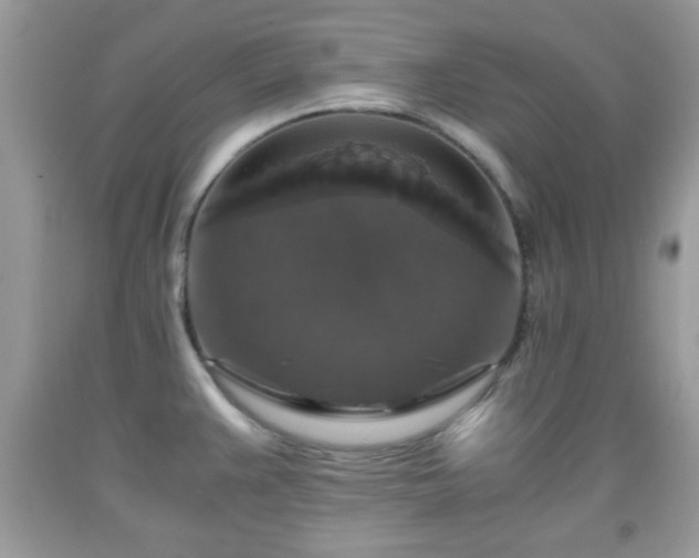 X0000091961383200709131217