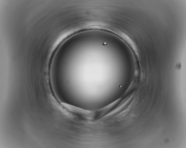 X0000091961384200709131217