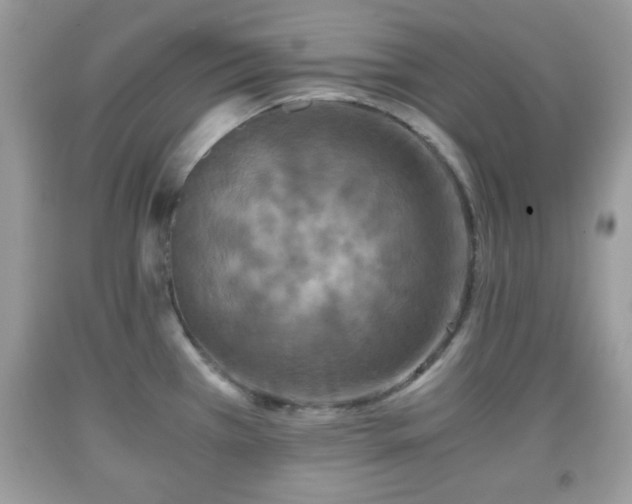 X0000091961385200709131217