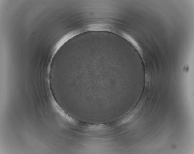 X0000091961386200709131217