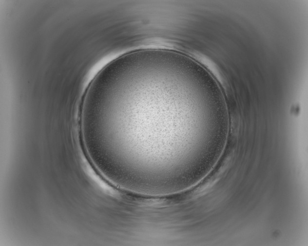 X0000091961387200709131217