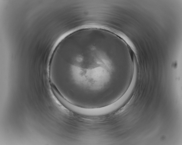 X0000091961388200709131217