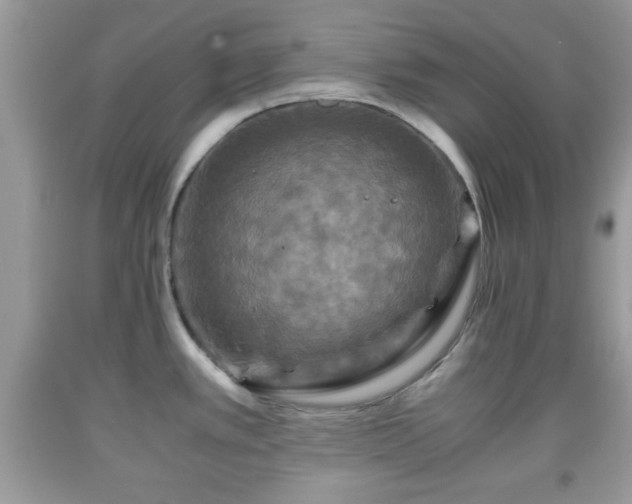 X0000091961389200709131217