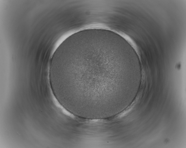 X0000091961390200709131217