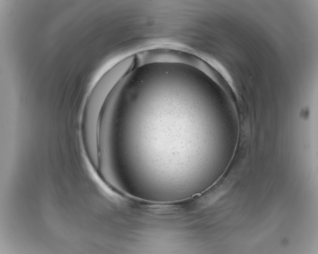 X0000091961391200709131217