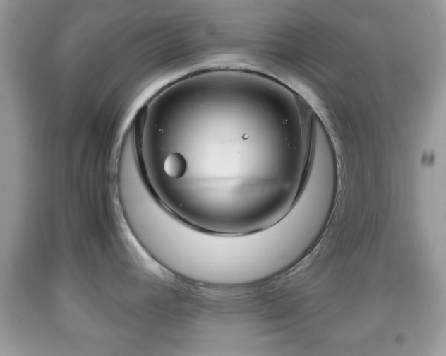 X0000091961392200709131217