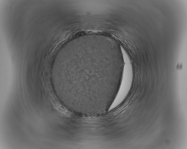 X0000091961393200709131216