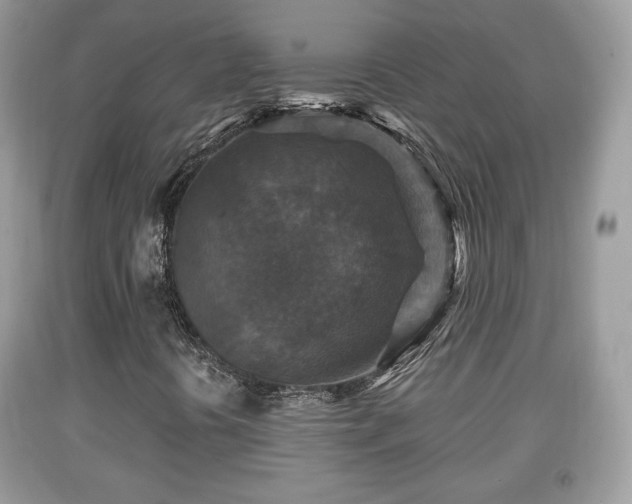 X0000091961394200709131216