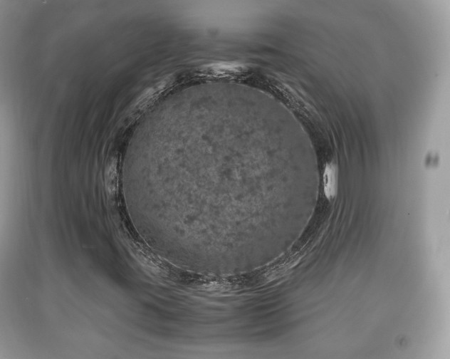 X0000091961395200709131216