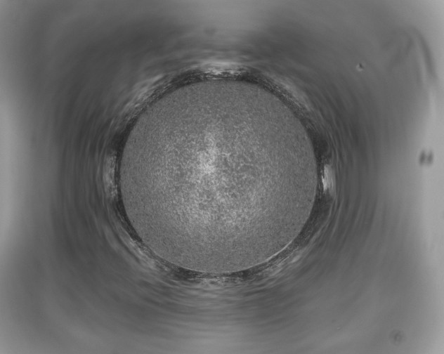 X0000091961396200709131216