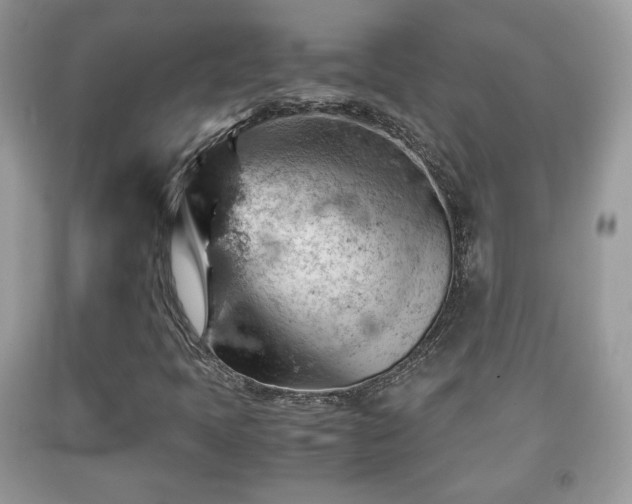 X0000091961397200709131217