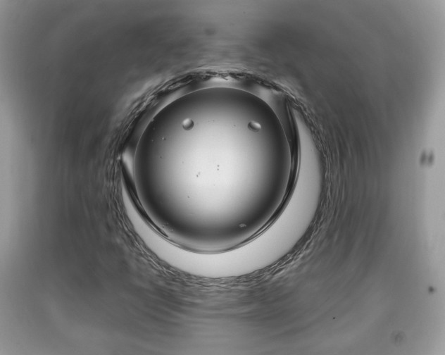 X0000091961398200709131217