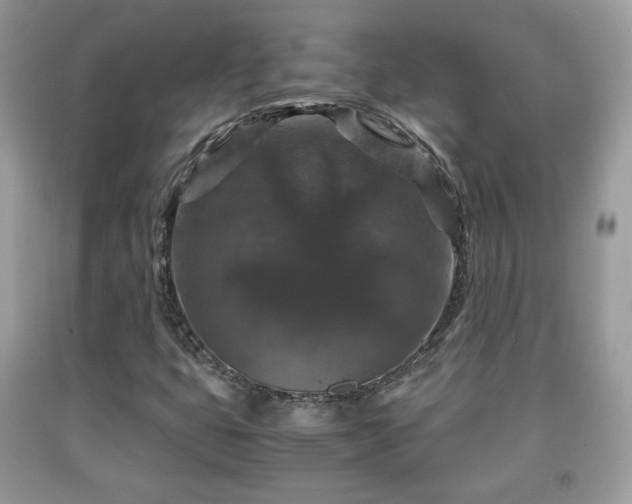 X0000091961399200709131217