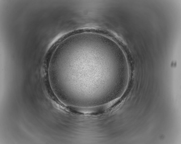 X0000091961400200709131217