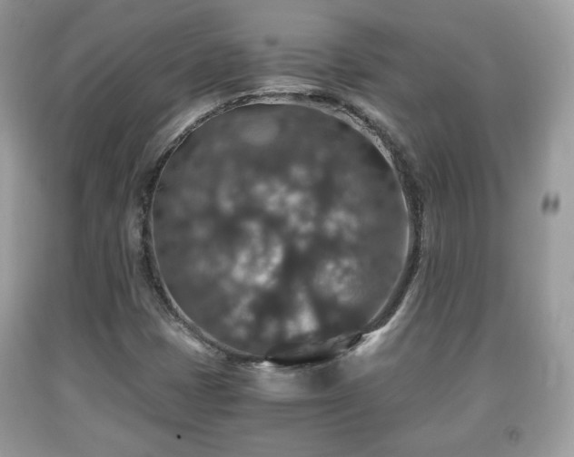 X0000091961401200709131217