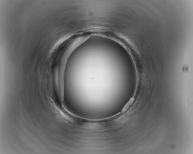 X0000091961402200709131217