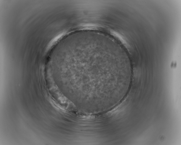 X0000091961403200709131217