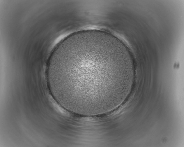 X0000091961404200709131217