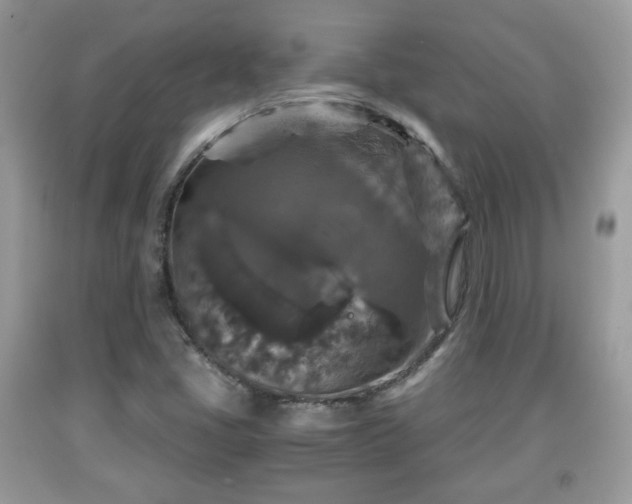 X0000091961405200709131217